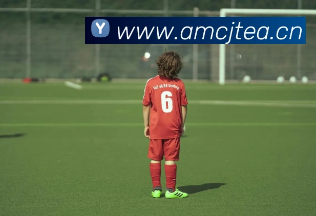 乐竞在线登录入口发展历程